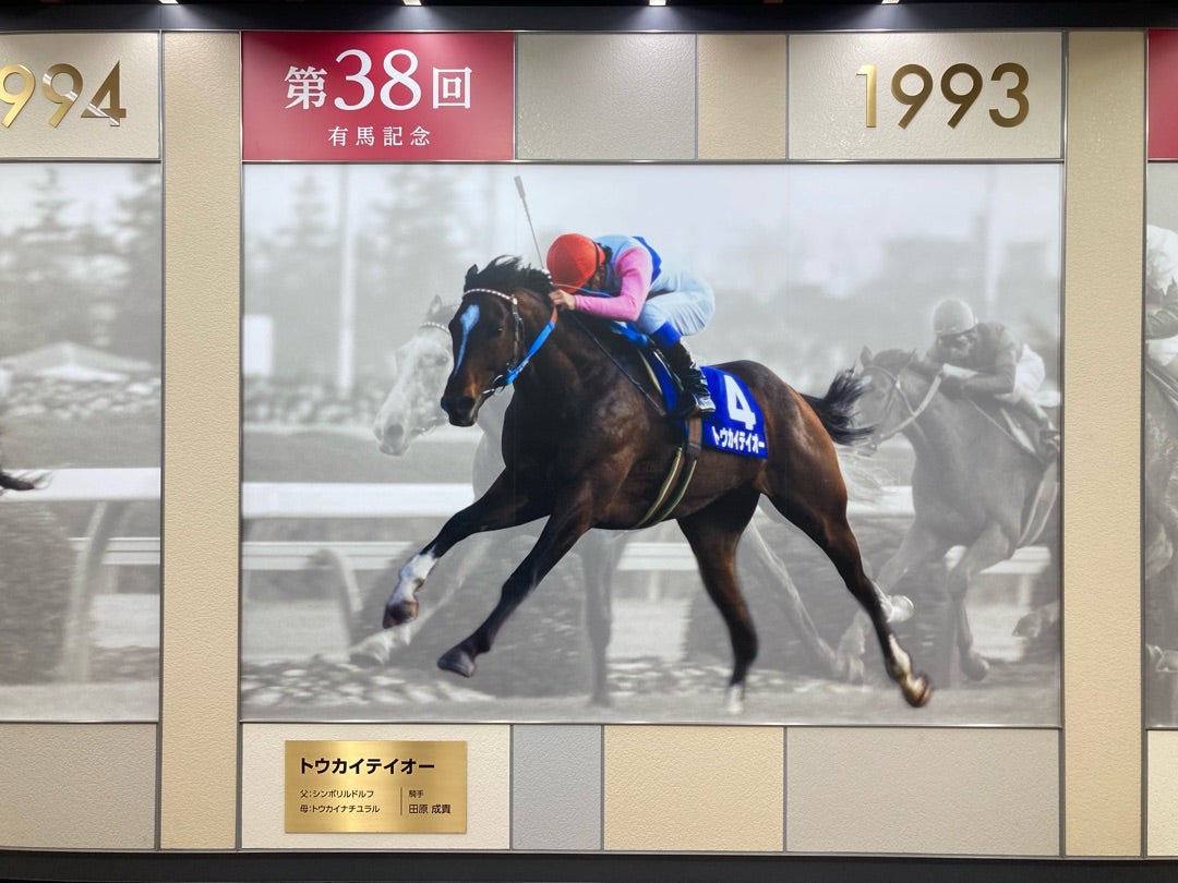 トウカイテイオー 第37回 有馬記念 馬券 【現地購入】 【公式通販】