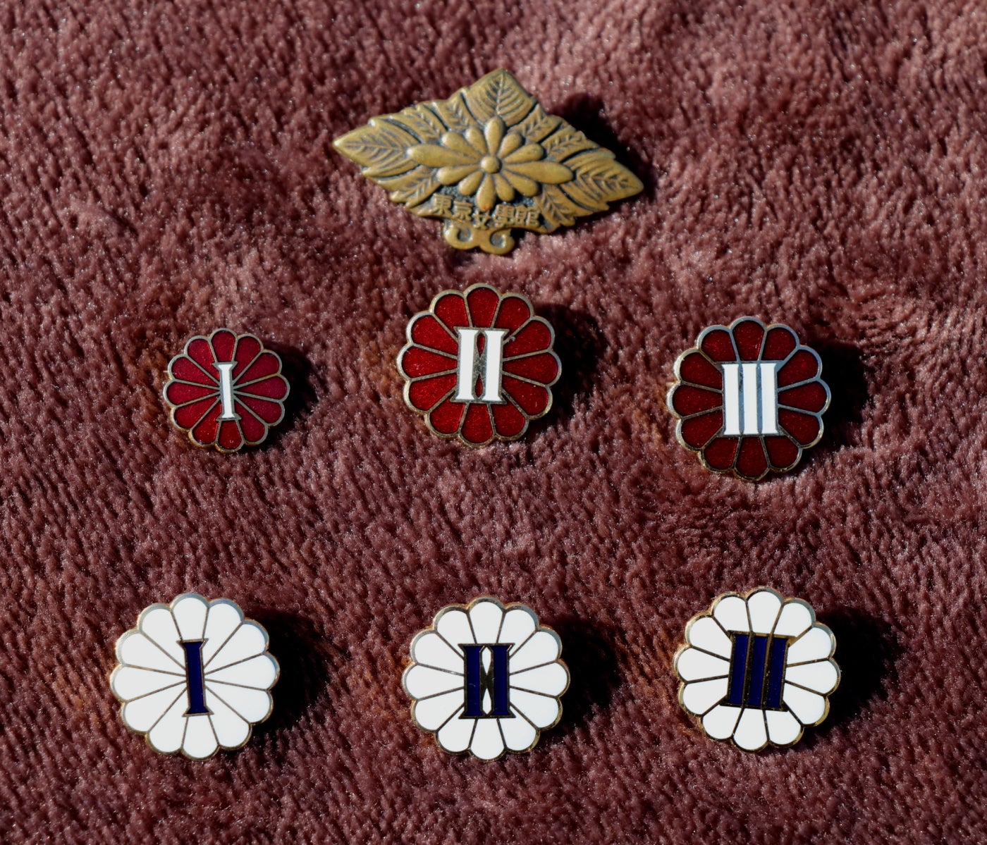 東京女学館校章 新品 東京女学館校章 新品 制服・校章・校歌 | 東京女