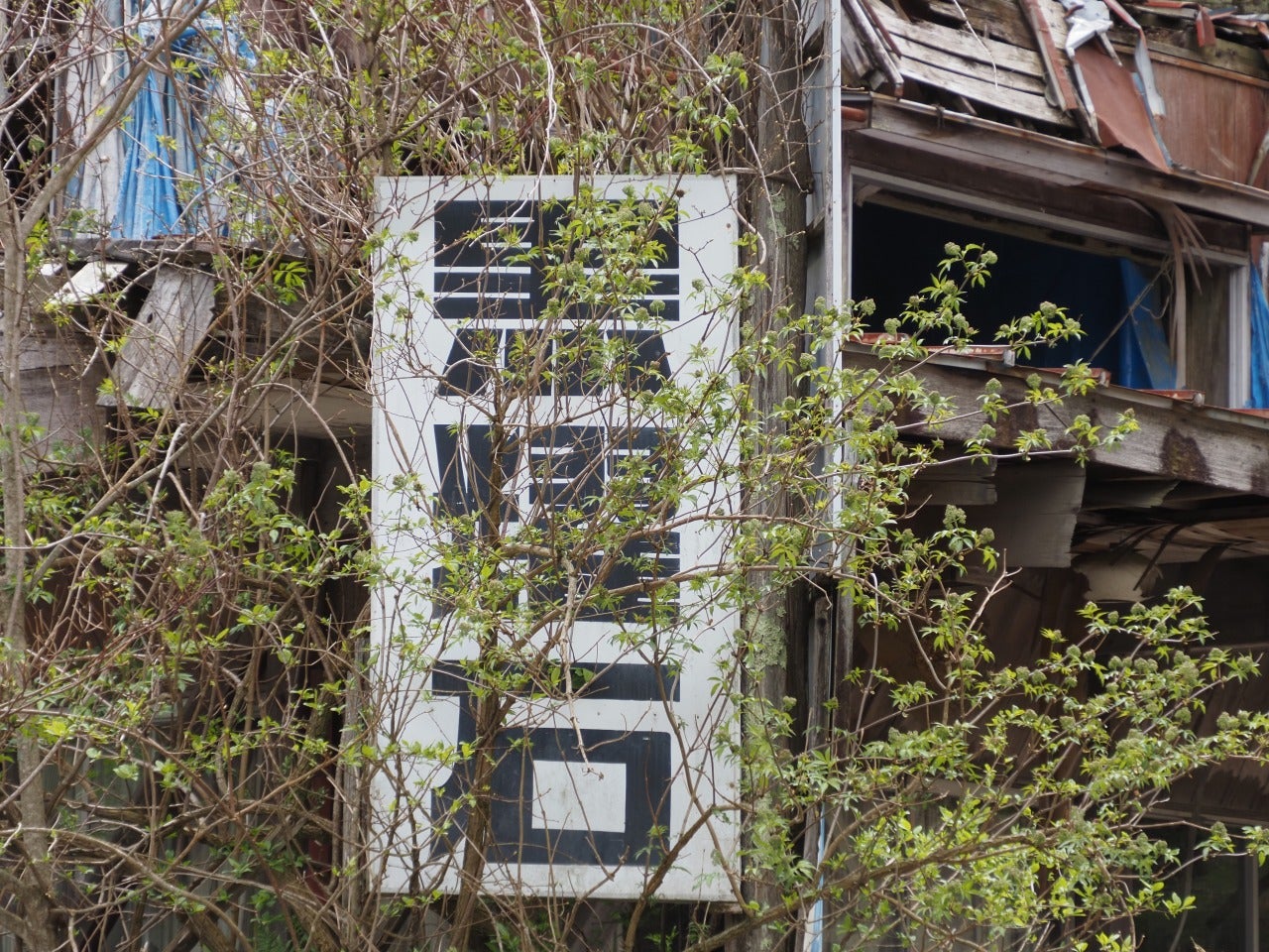 esowと川『廃屋』