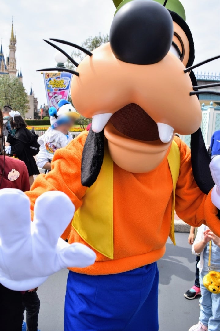 阪神タイガース ディズニー グーフィー 阪神タイガース ディズニー