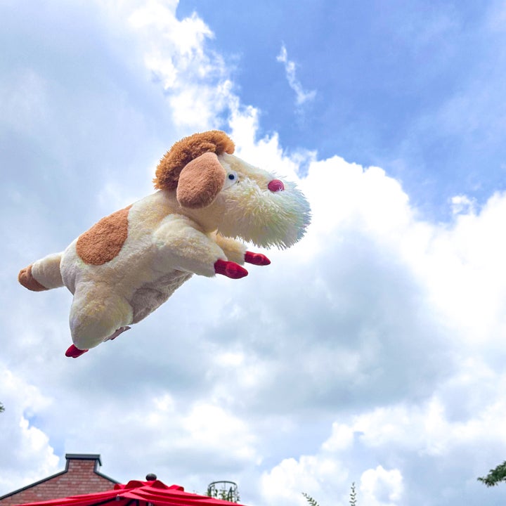 ヒンのぬいぐるみ Mサイズ ジブリパーク どんぐり共和国 ヒン