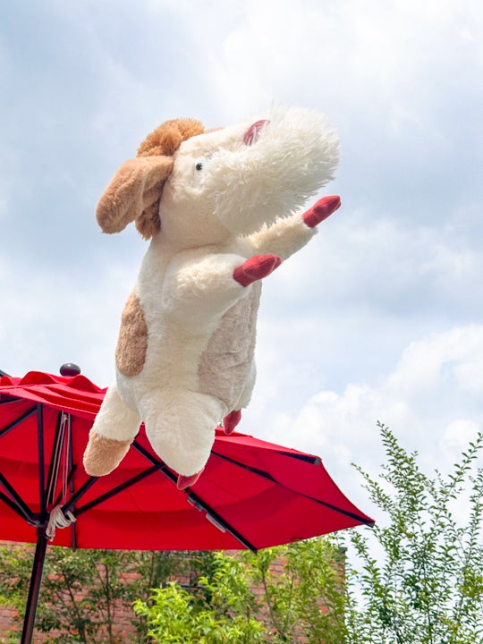 ジブリパーク限定 ヒン ぬいぐるみ ジブリパーク 魔女の谷限定 ヒン