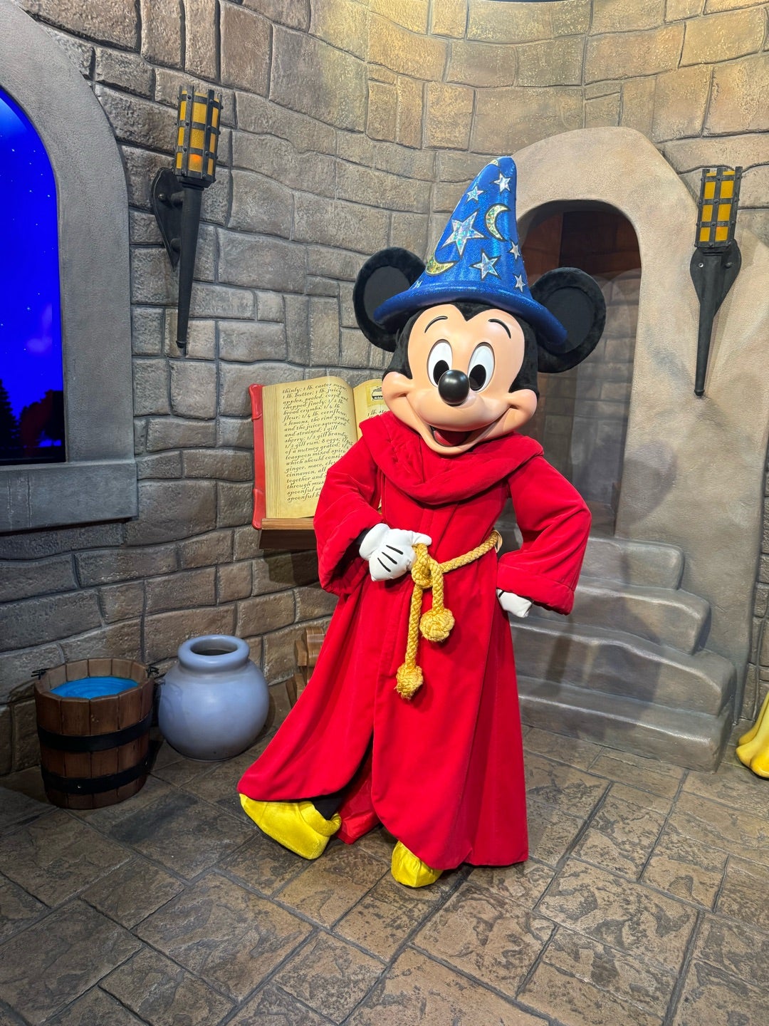 レア ディズニー キャスト 勤続 ピン 15年 ミッキー ソーサラー 弟子