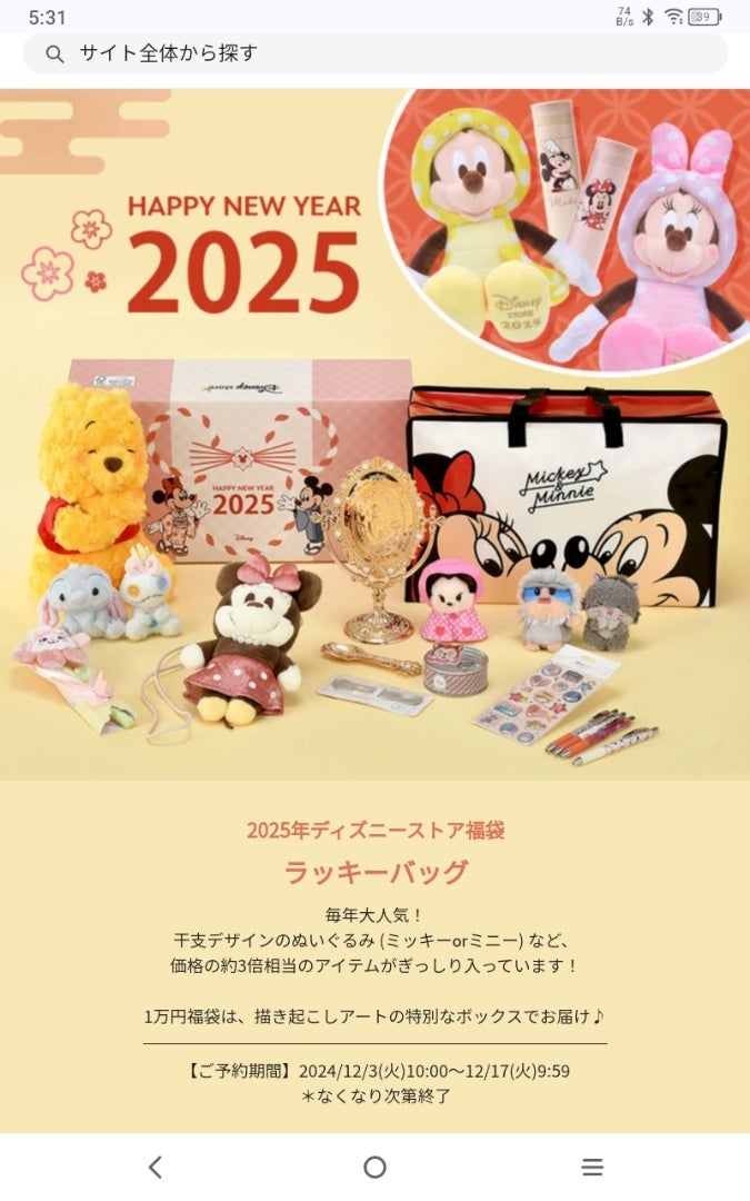 ディズニーストアの福袋『ラッキーバッグ』が12月3日から予約開始。巳