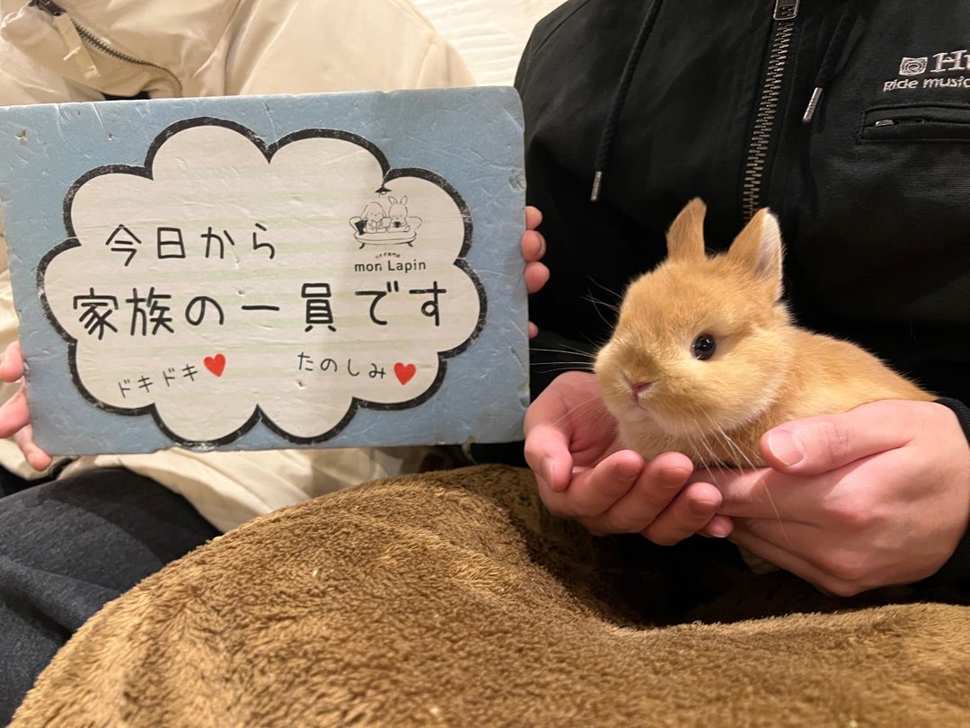 2匹のウサギの飼い主様が決まりました！ | 札幌のうさぎ専門店“mon