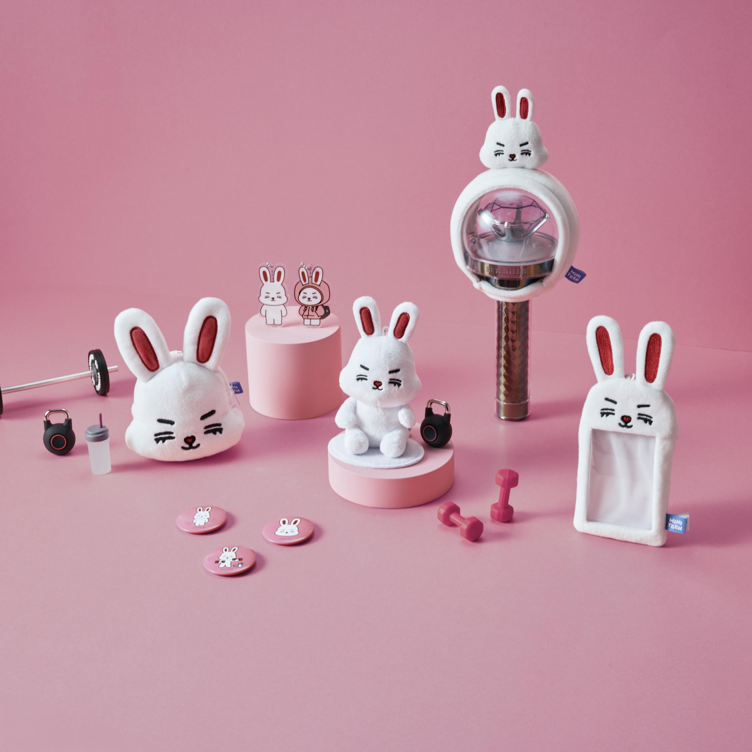 miniteen ミニティーン エスクプス キーリング チェチェリー seventeen