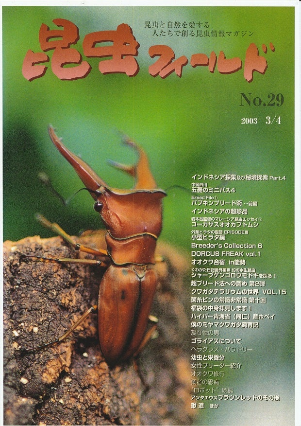 標本 キクロマトス等9頭セット ブリード品 【公式通販】