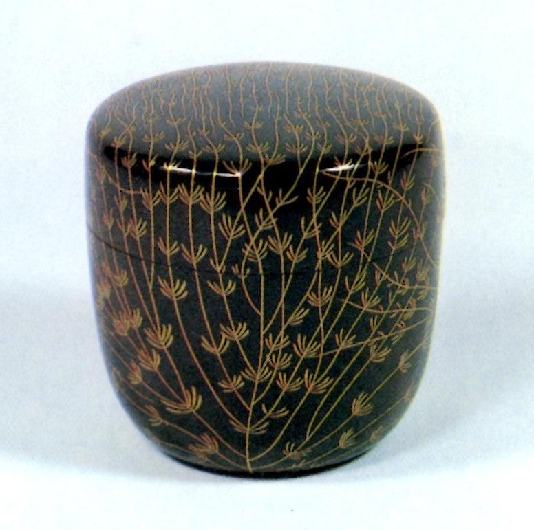 3月のお稽古 柳棗 折撓は何と読む？ | bunpuku-sadouのブログ