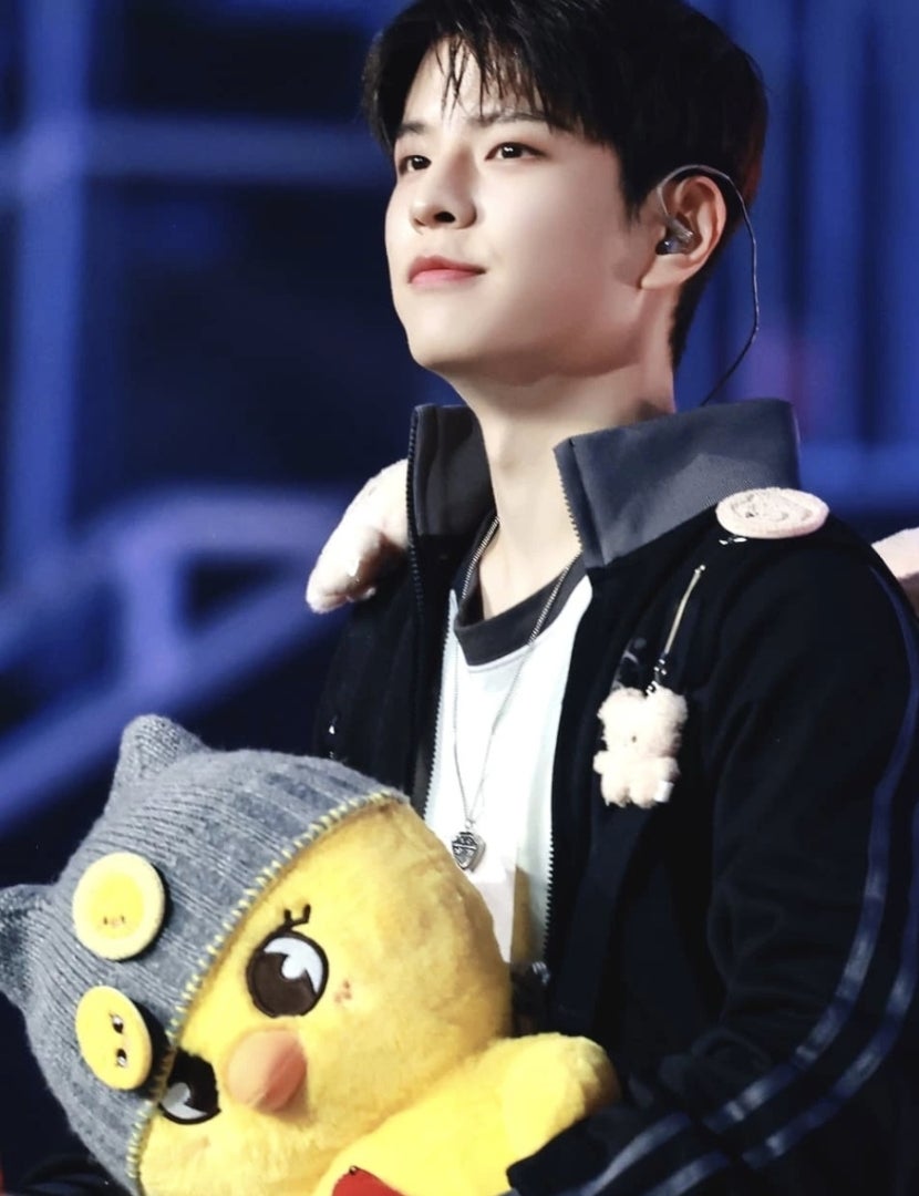 Stray Kids スンミン パピーム パピム スキズ ペンミ オリジナル