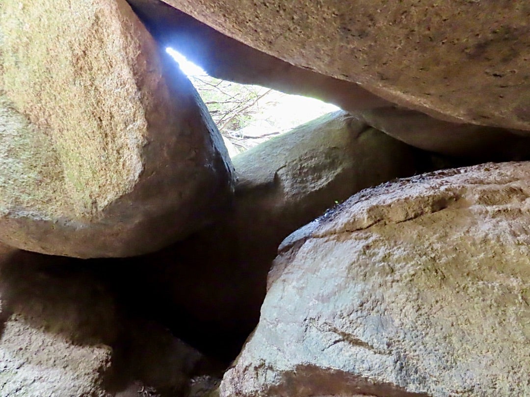 空山の額 〜貝殻で岩に立つ虎を表現している。値下げ交渉してください