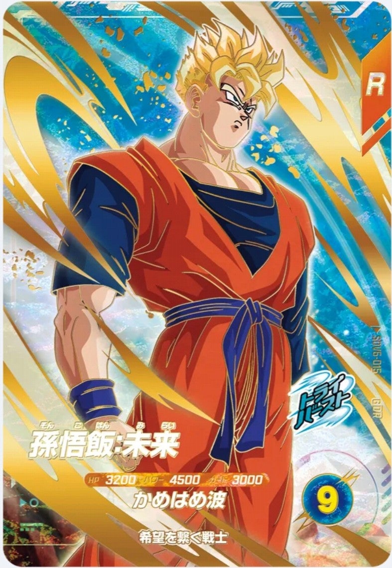 孫悟飯 未来 ＋おまけ19枚 ドラゴンボールヒーローズ PSA10 孫悟飯未来 HG-