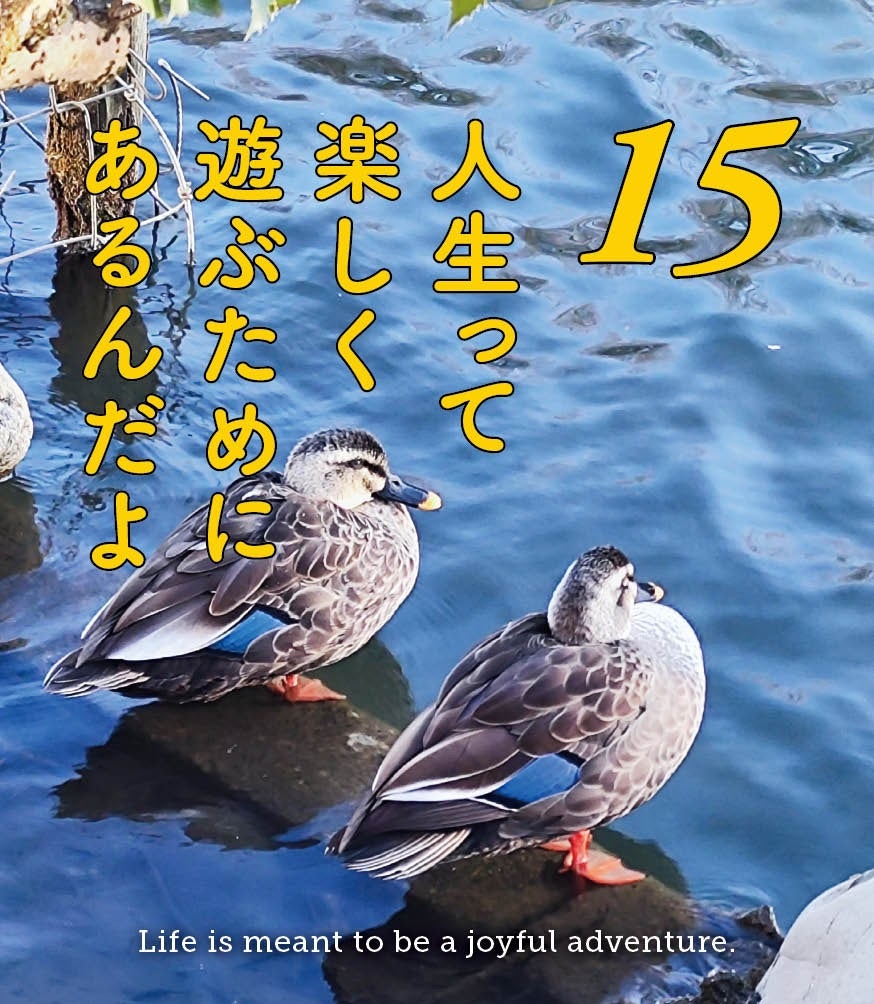 斎藤一人公式ブログ一日一語12月15日 | 斉藤一人オフィシャルブログ