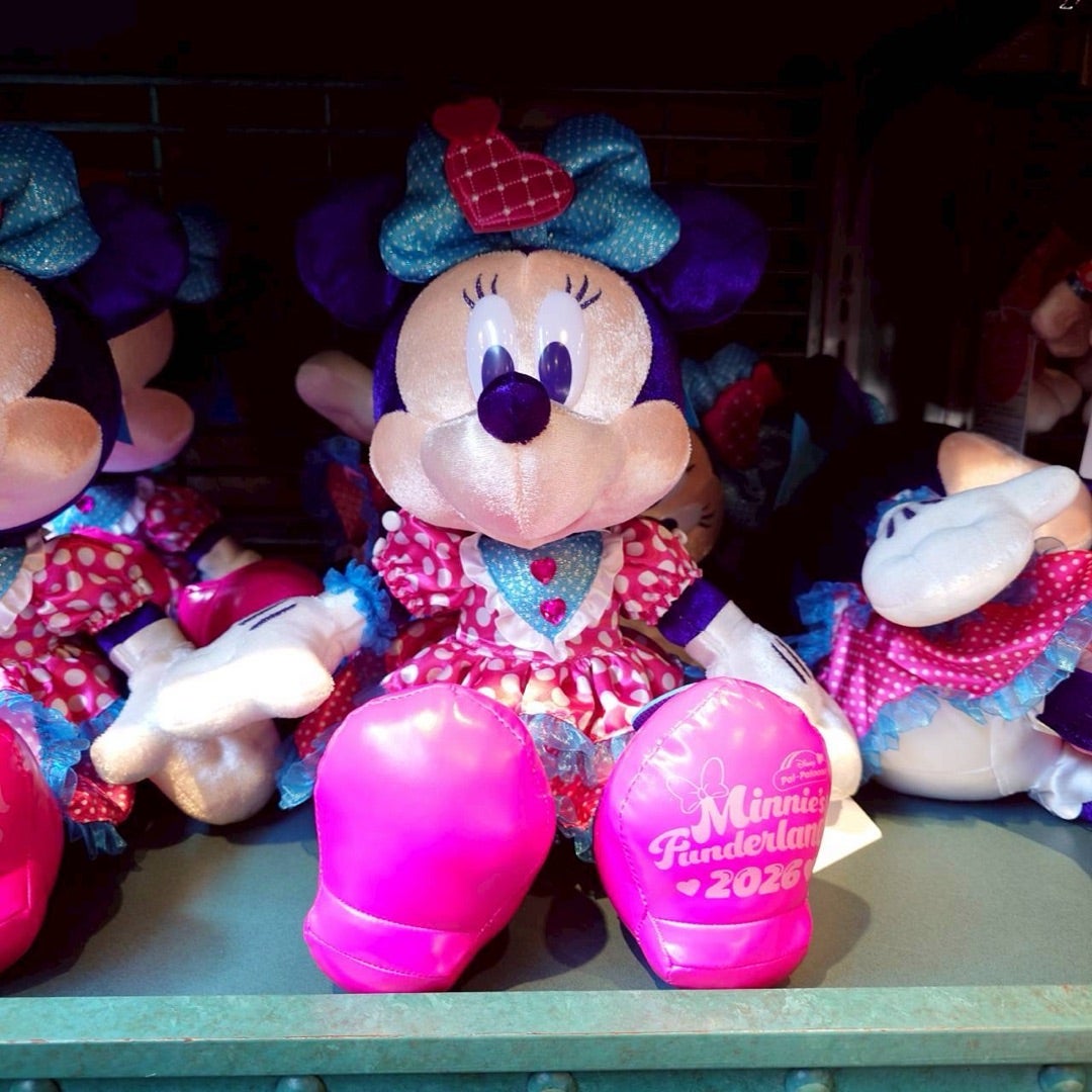 ディズニー・パルパルーザ ミニーのファンダーランドのスペシャル