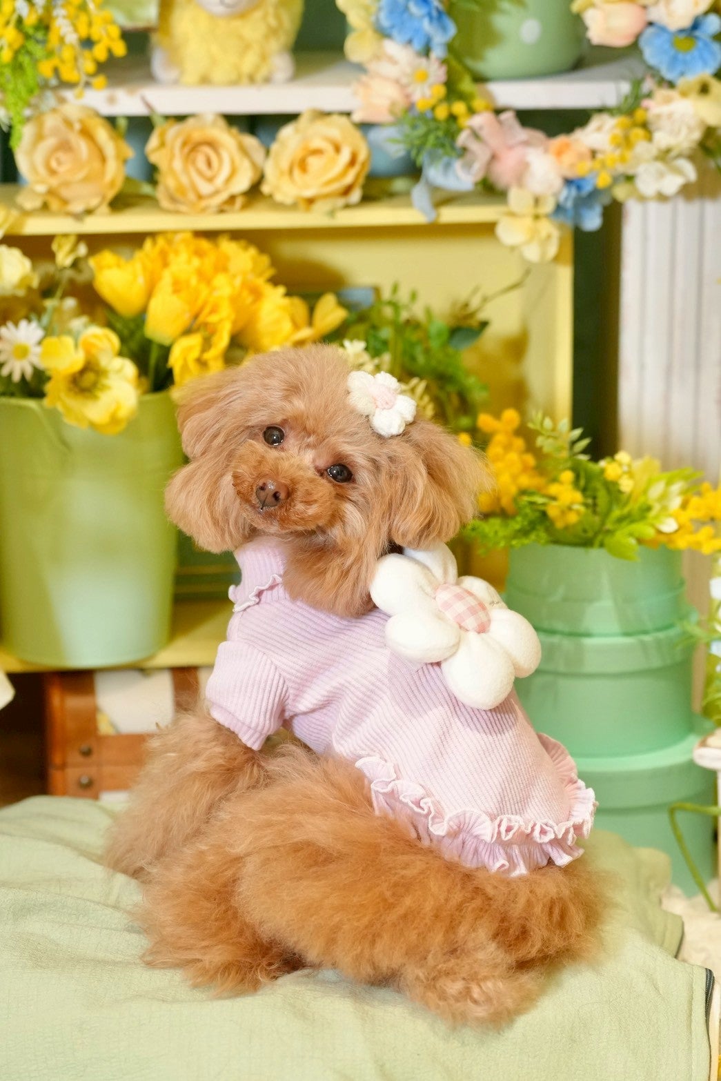 パピリーヒルズ東京の新着記事｜アメーバブログ（アメブロ）