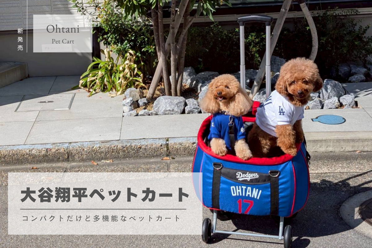 12月入荷予定！「大谷翔平選手最新モデル」ペットカートを日本中へお