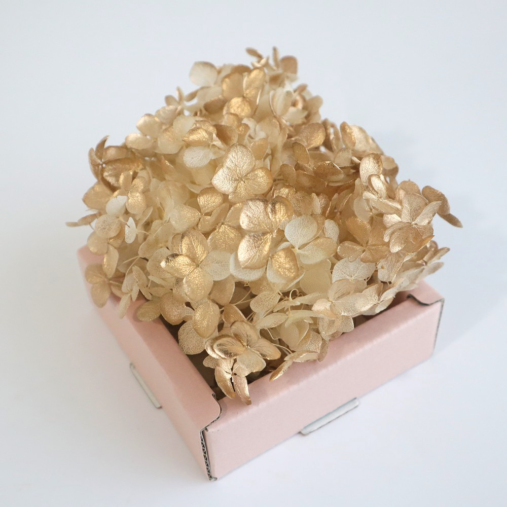 即日☆【プリザーブド】東花/FMソフトアナベルキャンディBOX 約1輪