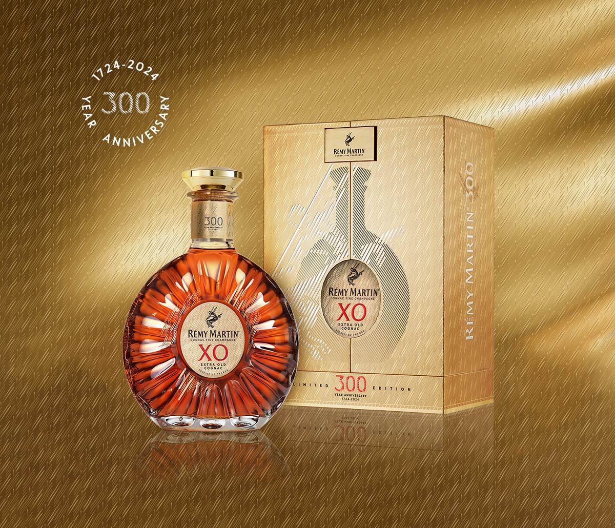 REMY MARTIN ナポレオン & XO Special セット REMY MARTIN ナポレオン