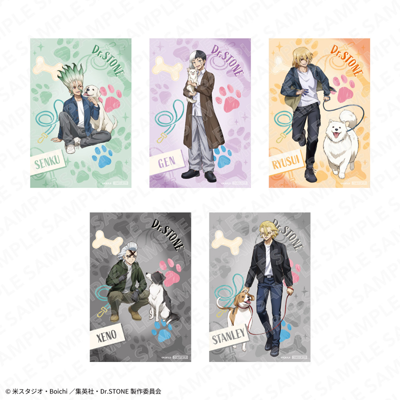 ジャンプフェスタ2026 Dr.STONE｜キャラアニ.com Dr.STONE ドクスト