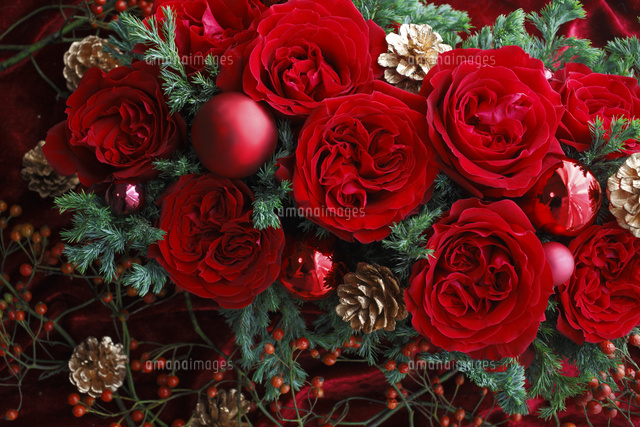 赤いバラと金色の松ぼっくりとコニファーのクリスマスアレンジメント