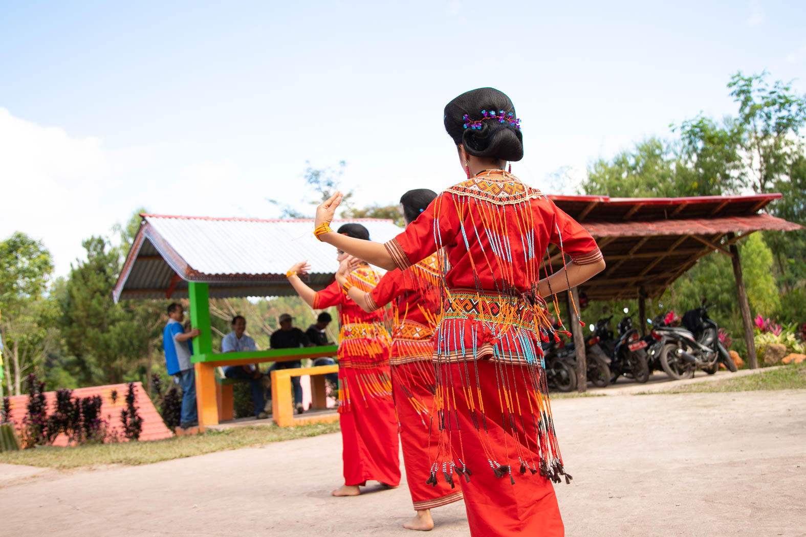 インドネシア スラウェシ島 トラジャ族のイカット2