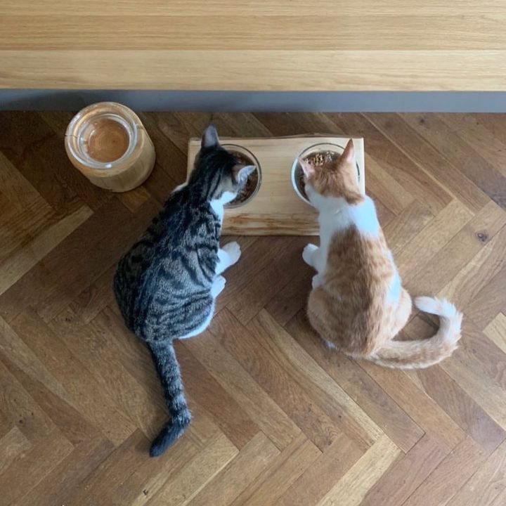 青森ヒバの丸太をつかったハンドメイド作品 「カルデサック」の