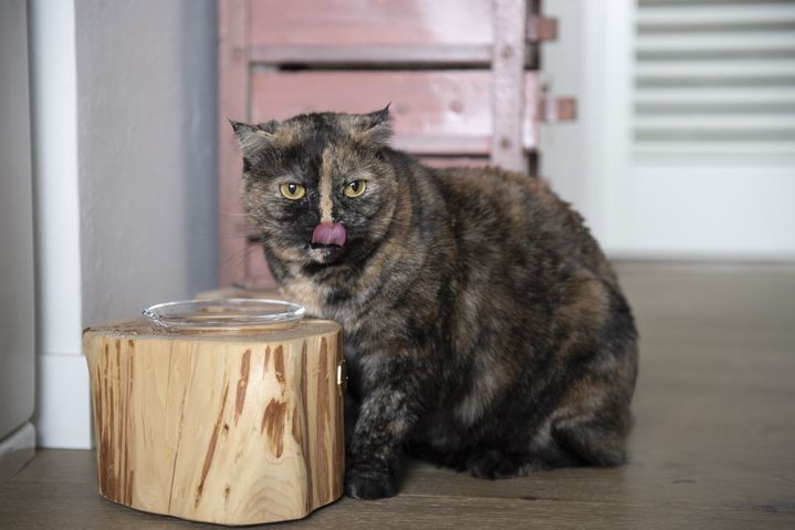 青森ヒバの丸太をつかったハンドメイド作品 「カルデサック」の