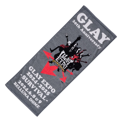 GLAY EXPO BTTP 2024 ランダムバラエティグッズ ブランケット GLAY