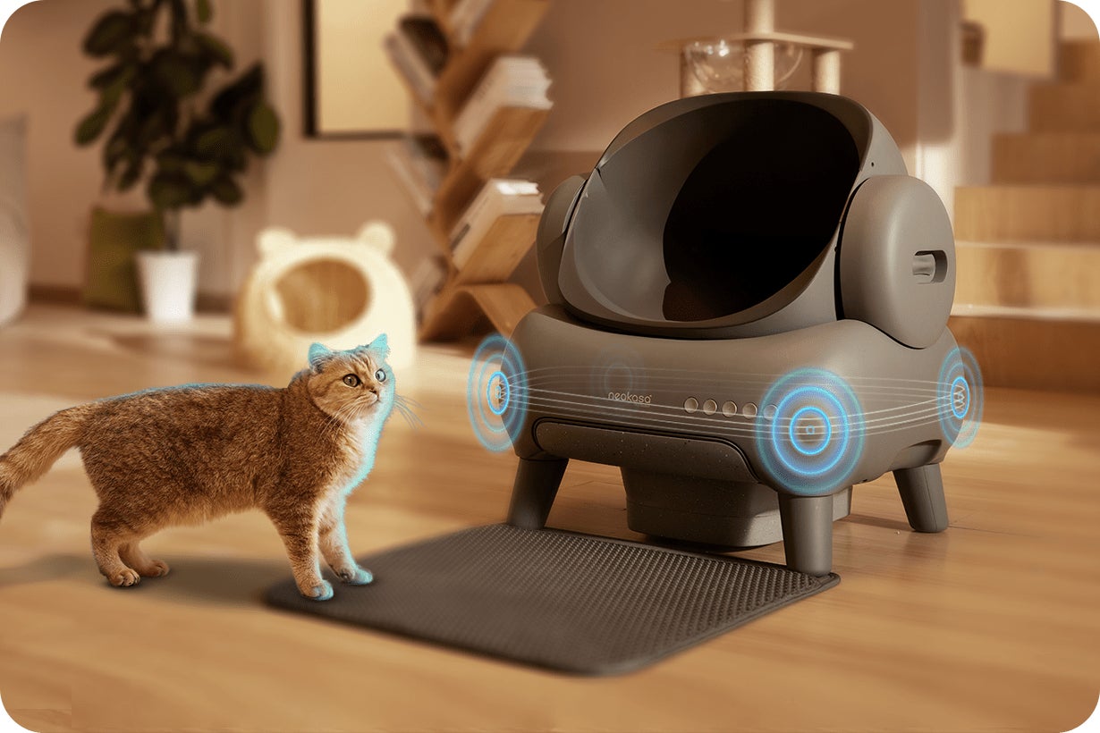 PETKIT 猫 自動トイレ 専用APP IOS/Android対応 Amazon | PETKIT 猫