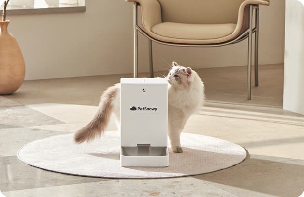 Pety ×JSFコラボレーション 全自動トイレ グレー おがちゃん】Pety×JSF