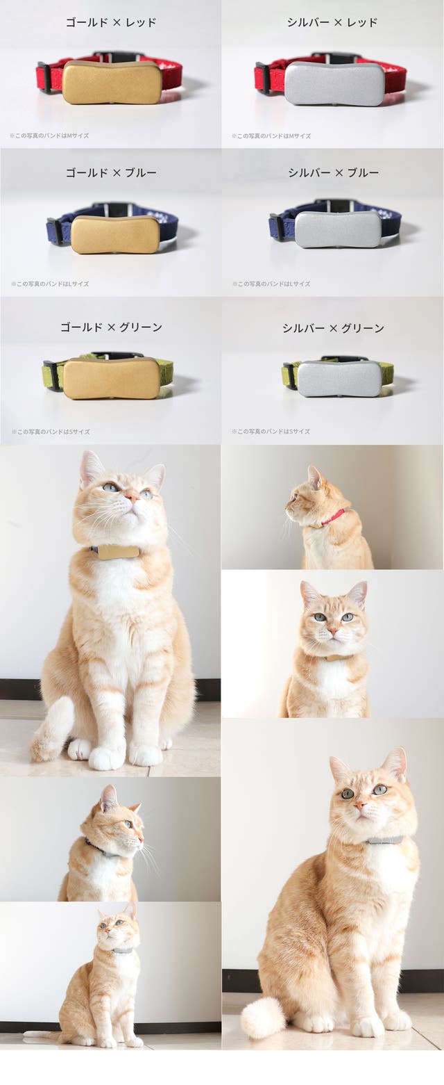 極小サイズの20g。愛猫との一生を守る。｜愛猫向けGPSスマート首輪ねこ