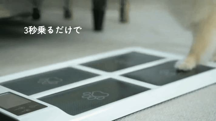 愛犬の体重・体長・足圧を3秒で測定！健康管理デバイス「PetBalans