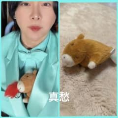 新品◇ Mrs. GREEN APPLE CDTV 愛用 ぬいぐるみ 大森元貴 - メルカリ