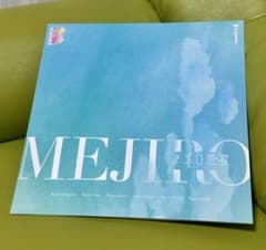 ウマ娘】メジロ讃歌 LPレコード MI-0178 - メルカリ