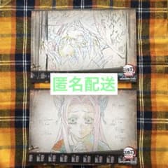 鬼滅の刃 ランチョンマット 胡蝶しのぶ 胡蝶カナエ - メルカリ