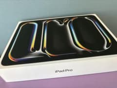 11インチiPad Pro(M4) 256GB Wi-Fiモデル ジャンク品 - メルカリ