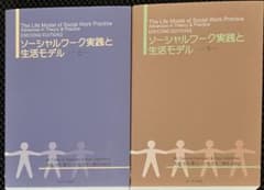 希少・入手困難・初版】ソーシャルワーク実践と生活モデル（上・下巻