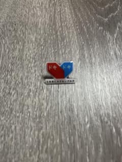 会場限定】大阪関西万博2025 ルクセンブルクパビリオン ピンバッジ