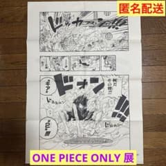 m29726496042_1.jpg?1730201664