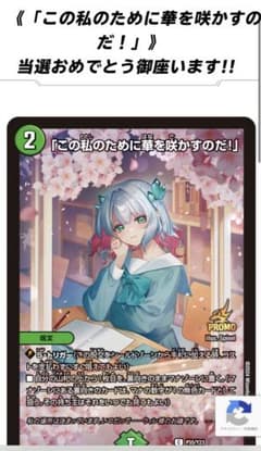 この私のために華を咲かすのだプロモ - メルカリ