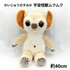 m34634559762_1.jpg?1739535373