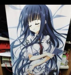 素晴らしき日々〜不連続存在 高島ざくろ 抱き枕カバー タペストリー