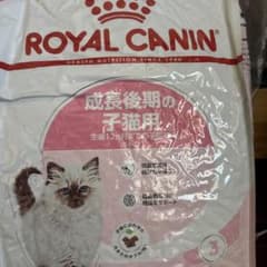 ロイヤルカナン 成長後期の子猫用 キトン 10kg 生後12ヵ月齢まで