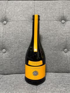 限定価格！新政 タンジェリン 山吹 2024 - メルカリ