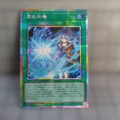 遊戯王 憑依共鳴 プリズマティックシークレットレア - メルカリ