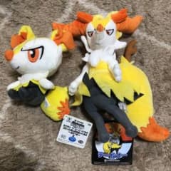 テールナーぬいぐるみ - メルカリ