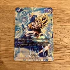 m30806207296_1.jpg?1738947175