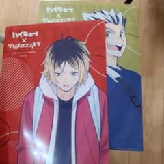 m30096932732_1.jpg?1758371564