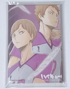 m30340600450_1.jpg?1735736034