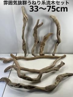 F8アク抜き済み流木セット爬虫類シェルター 登り木 インテリア 生け花