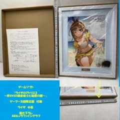 ライザのアトリエ3 ライザ 水着 描き下ろしA4キャラファイングラフ